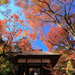 京都嵯峨野の秋