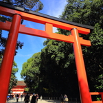 京都 下鴨神社の秋 2016