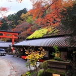 京都 嵯峨野の紅葉 2017