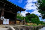 京都 東寺の五重塔 2020