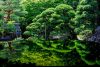 京都 旧邸御室「深緑の薫」特別公開 2022