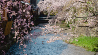 祇園 白川 巽橋