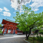 京都 紫野 今宮神社 春 2023