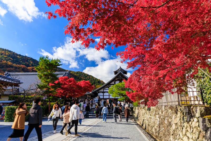 京都　天龍寺