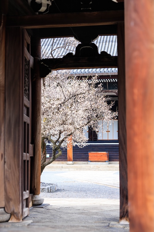 京都 興正寺