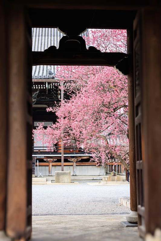 京都 興正寺