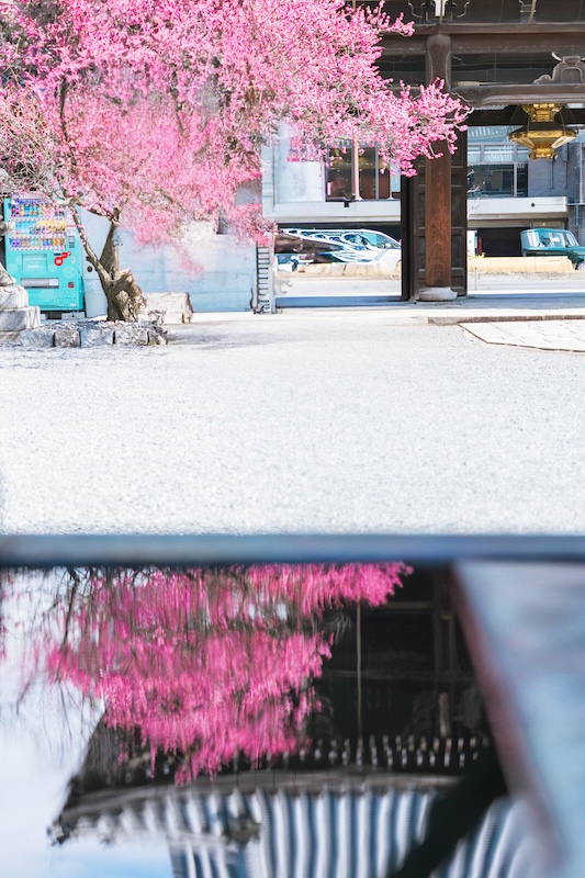 京都 興正寺