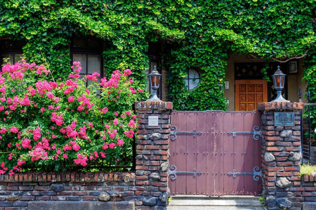 京都　蛸薬師通